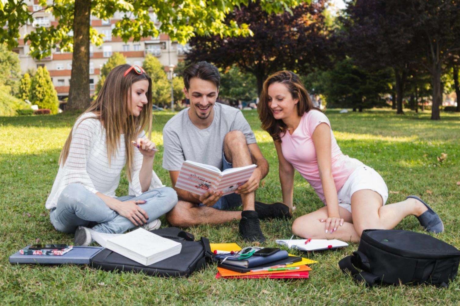 Recovery planning consultation and strategy development